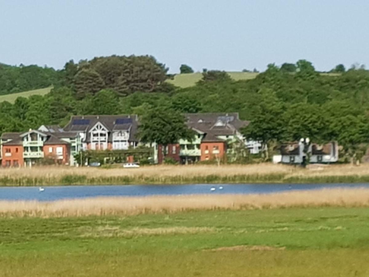 Ferienwohnung 4 Im Haus Am See Mit Wintergarten Und Terrasse Seedorf  Eksteriør billede
